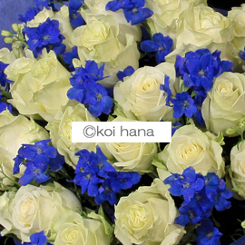 oԑ