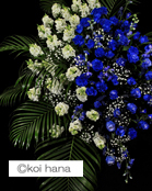 õX^hԁ@u[[YX^ht[@ʔzB